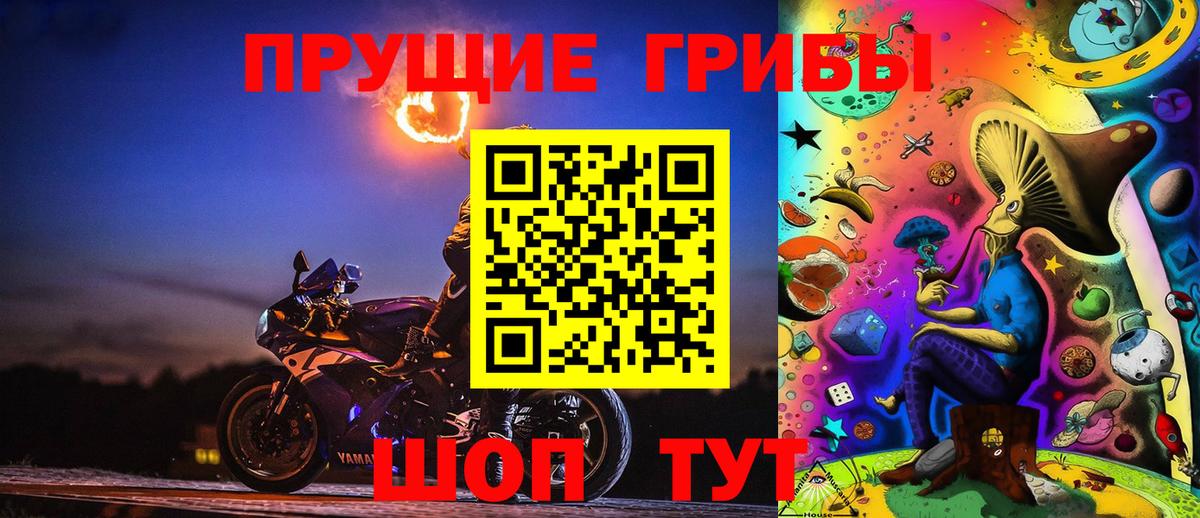 Псилоцибиновые грибы GOLDEN TEACHER  Вход с VPN  Псилоцибиновые грибы Psilocybe  Елец 
