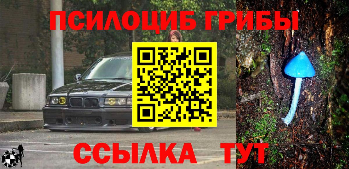 Галлюциногенные грибы MAGIC MUSHROOMS Елец